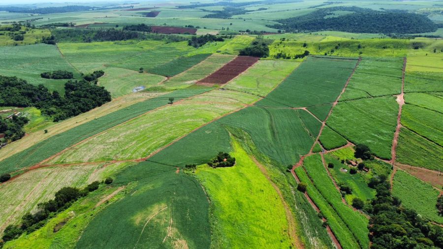 Rural - Venda - Area Rural - Prox. Dacalda - Jacarezinho - PR